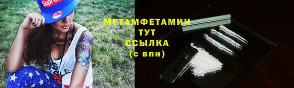 индика Кинешма