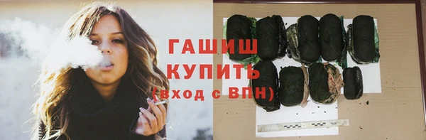индика Кинешма