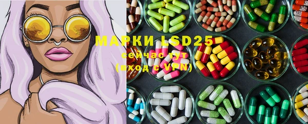индика Кинешма