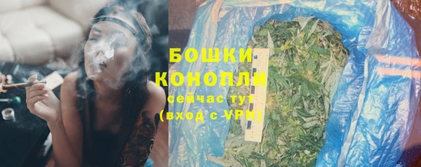 индика Кинешма