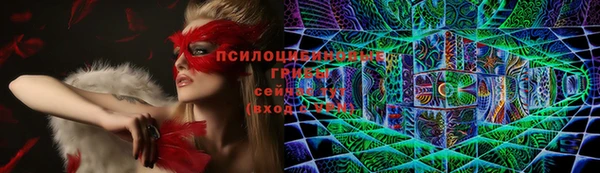 индика Кинешма
