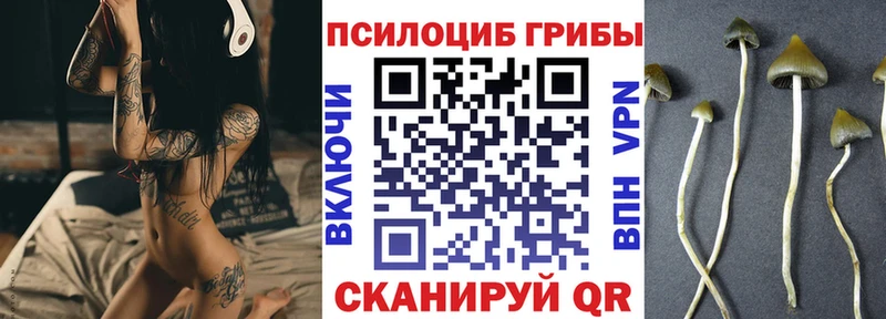 Галлюциногенные грибы Psilocybe  Купить закладки  Гаврилов-Ям 